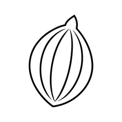 Cardamom icon with outline style. Vector line icons on white background.