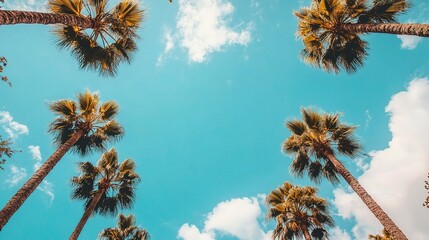Palm Trees Reaching for the Sky: A serene and uplifting view of majestic palm trees reaching towards a brilliant blue sky, symbolizing growth, aspirations, and the beauty of nature.  