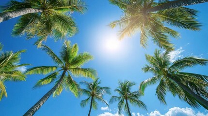 Low-angle view of tropical palm trees swaying against a clear blue sky, capturing the essence of summer and inviting relaxation
