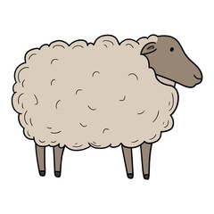 Hand drawn cartoon sheep on white background.