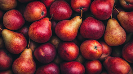 A detailed view of fresh ripe pears arranged closely together, creating a textured background. The pears display a range of rich yellow, green, and golden hues