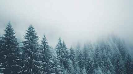 Fototapeta premium Misty mountain range with dense fog covering a pine forest, creating a mysterious winter scene, copy space, High quality, + --ar 16:9 --v 6.1 Job ID: 75b20763-54db-4942-9f40-7bfc03573656
