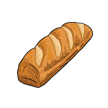 recommend clip art: Hand Drawn vintage Style Vector Bread Drawing Isolated on White Background. retro vector illustration of vegetable. Bread design element.