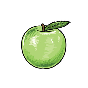 recommend clip art: Hand Drawn Green Apple Isolated on White Background. Vintage Style Hand Drawn Green Apple Isolated on White Background. Healthy Lifestyle Concept Design Element.