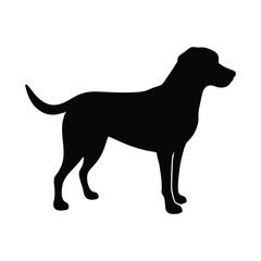 This is Labrador retriever Dog silhouette 