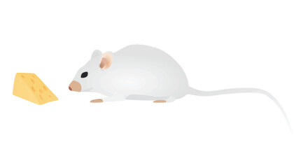 White mouse isolated. vector illustration