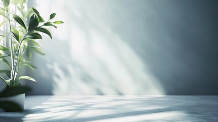 Serene Sunlight Through Window: Minimalist interior design scene. Soft light streams through a window