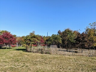 Overview of Governors Island in New York City in Fall - October 2024