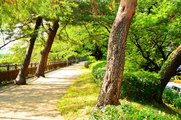 ソフィア通り付近　東京都千代田区紀尾井町