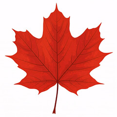red autumn maple leaf isolated on white background
