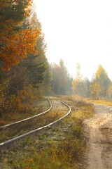 Obraz premium road in autumn