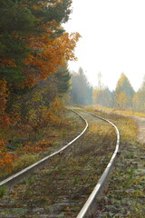 road in autumn forest