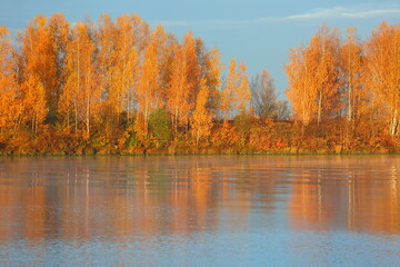 autumn trees reflected in water