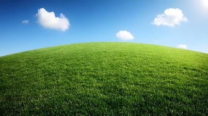 Obraz premium A vast green grassland under the blue sky, with clouds scattered in the distance and no trees on it. The background is clean and bright, presenting an endless expanse of emerald-green fields