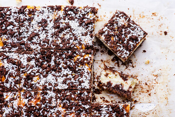 Cream Cheese Squares with Coconut and Chocolate Dough. top veiw .style hugge