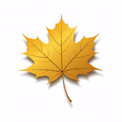 yellow maple leaf on white background
