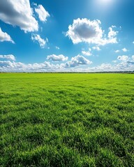 Obraz premium A vast green grassland under the blue sky, with clouds scattered in the distance and no trees on it. The background is clean and bright, presenting an endless expanse of emerald-green fields