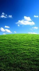 Naklejka premium A vast green grassland under the blue sky, with clouds scattered in the distance and no trees on it. The background is clean and bright, presenting an endless expanse of emerald-green fields