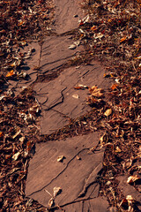 Stone path