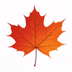 Obraz premium orange fall maple leaf isolated on white background