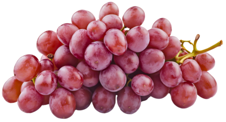 Grapes shine pink and red purple, isolated clusters show organic ripeness, harvest brings fresh bunches, healthy sweet fruit hangs from leafy branch, agriculture