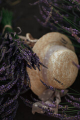 huge lavender field of beautiful flowers in Ukraine