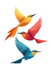 Birds