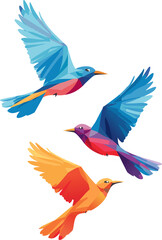 Birds