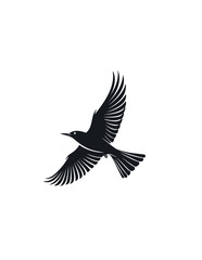 Fototapeta premium Flying birds