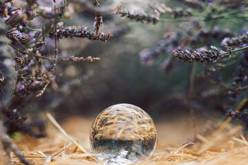 glass optical ball at sunset in the city in Ukraine
