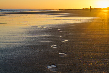 Solitary footprints stretch across the sandy beach as the sun sets in golden light.