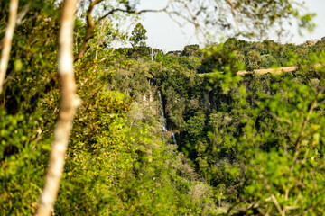 Natural wild landscape of the Atlantic Forest and Brazilian rainforest