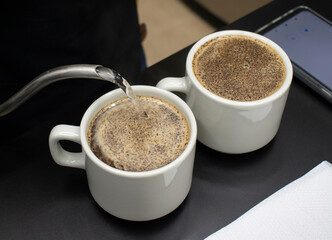 Coffee Cupping Session – Filling Cups with Water for Specialty Coffee Tasting