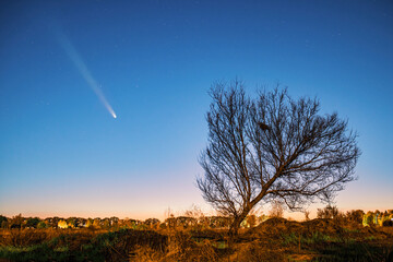 Comet C 2023 A3 Tsuchinshan-ATLAS streaks across a starry blue twilight sky above a bare tree and...