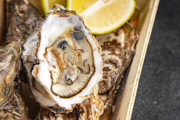 Oysters fresh seafood tasty food dish Fresh delicious gourmet food background on the table rustic food top view copy space top view pescetarianism diet