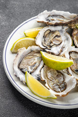 Oysters fresh seafood tasty food dish Fresh delicious gourmet food background on the table rustic food top view copy space top view pescetarianism diet
