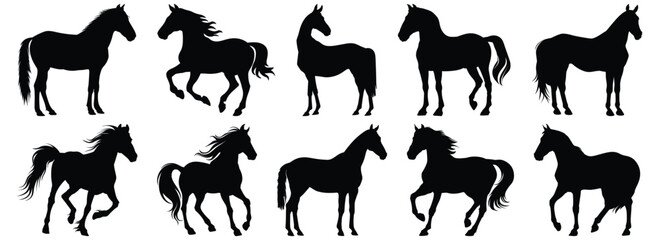Horse silhouette set vector design big pack of animal illustration and icon
