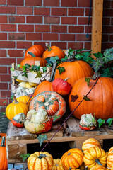 Ingathering. Pumpkins are lying on the table. Lots of pumpkins on the market