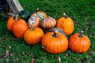 Pumpkins on the grass and in a wooden box on the background of a pile of hay.