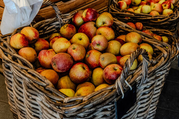 Apples in the basket on the grass. Wicker basket with ripe, red apples harvest in the garden. Autumn, sunny day in orchard