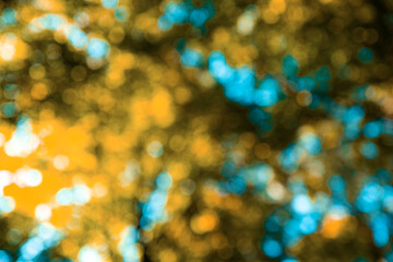 Obraz premium Yellow leaf blurred background. Orange leaf on blurred background. Autumn Bokeh background. Autumn yellow nature background. Orange leaf in forest. Leaves blurred backdrop.