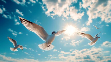 Obraz premium Seagulls soar through a bright blue sky with white clouds.