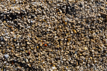 Close-Up of Wet Pebbles on a Beach