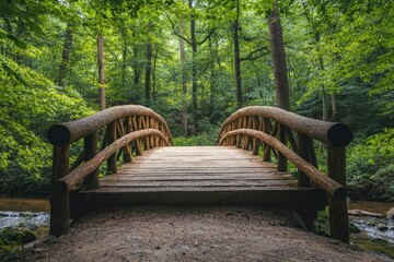Fototapeta premium Wooden Bridge Leading Through a Lush Green Forest