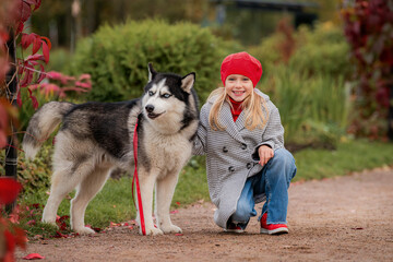 little girl in a red beret and coat walks with a husky dog on a leash in an autumn park.