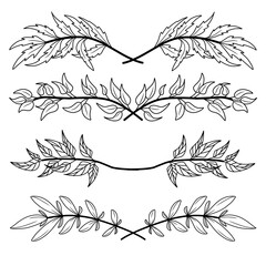 set of elements leaf and floral text divider for invitation card vector illustration black and white minimalist hand drawn