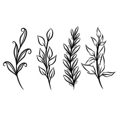 Naklejka premium black and white silhouettes of plants