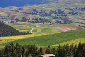 Fototapeta premium Endless beauty in the farmlands near Moray and Maras, where ancient techniques meet breathtaking landscapes. The heart of Peru’s agricultural history still thrives here