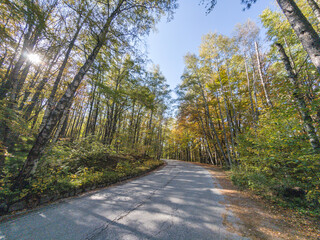 Fototapeta premium Autumn view of Vitosha Mountain, Bulgaria