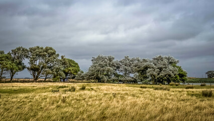 View of a landscape in the East Sussex countryside, England, UK